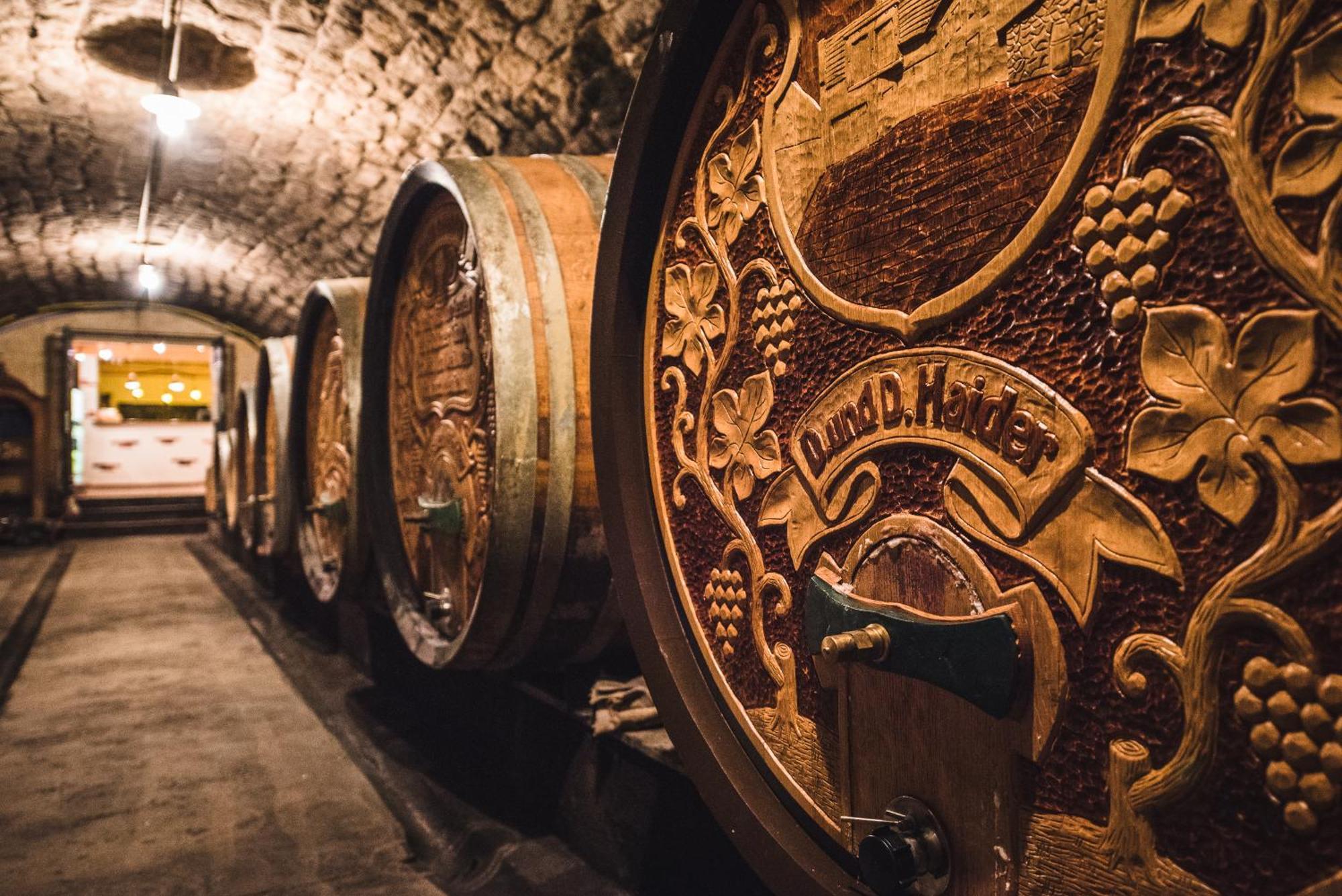 Weingut Gaestehaus D&D Haider Jois Bagian luar foto