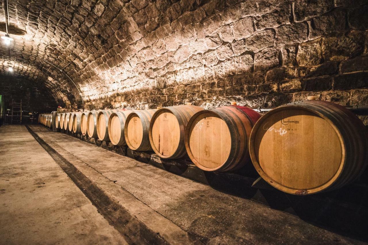 Weingut Gaestehaus D&D Haider Jois Bagian luar foto